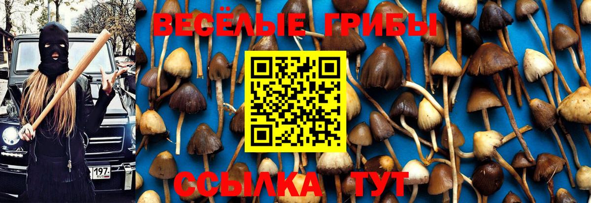 Галлюциногенные грибы Magic Shrooms  Вход с VPN  Холмск 